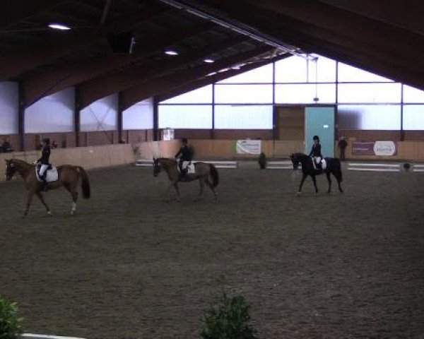 Kalthofer Hallenturnier mit Jugendwimpel 2014