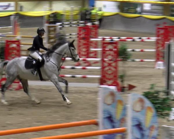 Reitturnier Sauldorf-Boll 2026