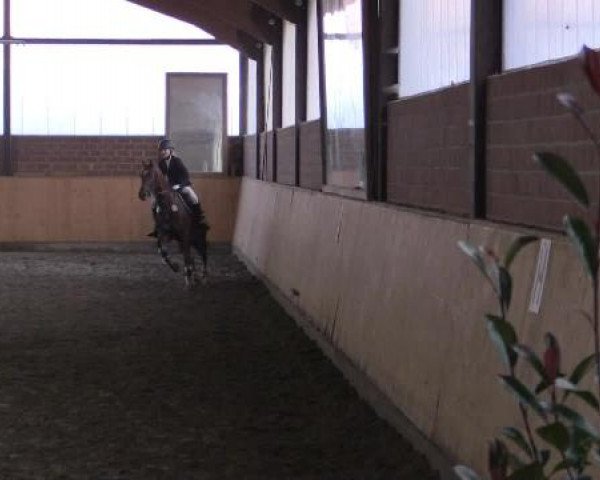 Kalthofer Hallenturnier mit Jugendwimpel 2014