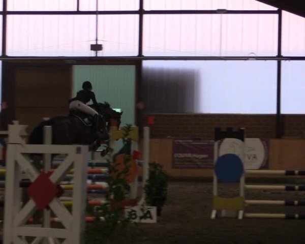 Kalthofer Hallenturnier mit Jugendwimpel 2014