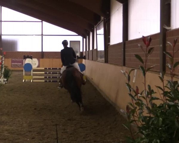 Kalthofer Hallenturnier mit Jugendwimpel 2014