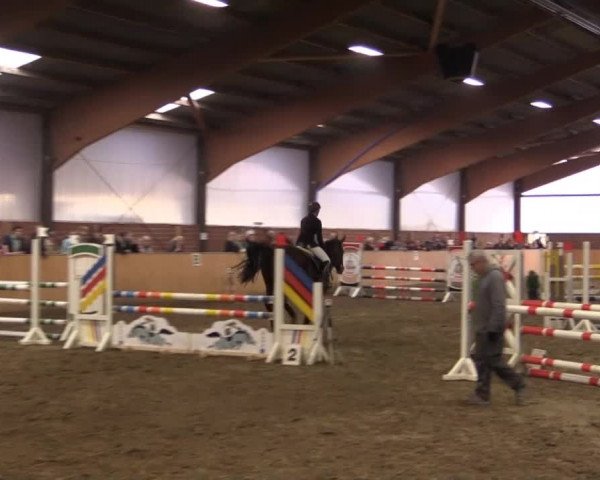 Kalthofer Hallenturnier mit Jugendwimpel 2014