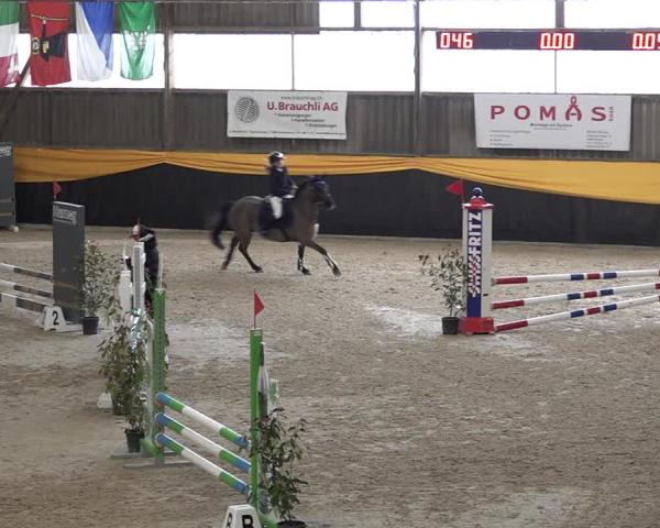 Reittturnier Erlen 2026