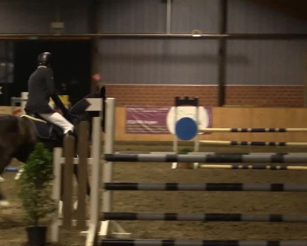 Kalthofer Hallenturnier mit Jugendwimpel 2014