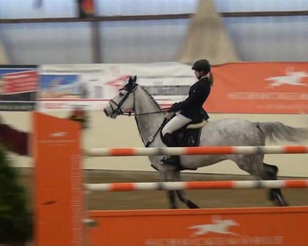 CSI* Damme 2014