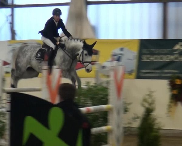 CSI* Damme 2014