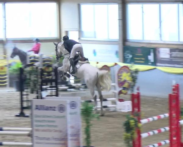 Reitturnier Sauldorf-Boll 2026