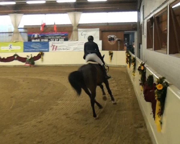 CSI* Damme 2014