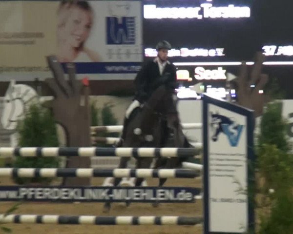 CSI* Damme 2014