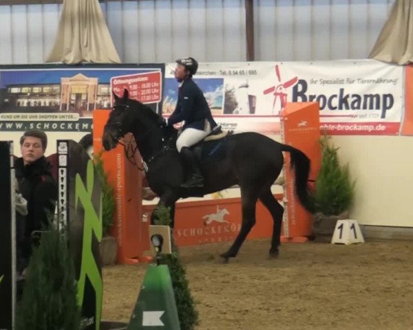 CSI* Damme 2014