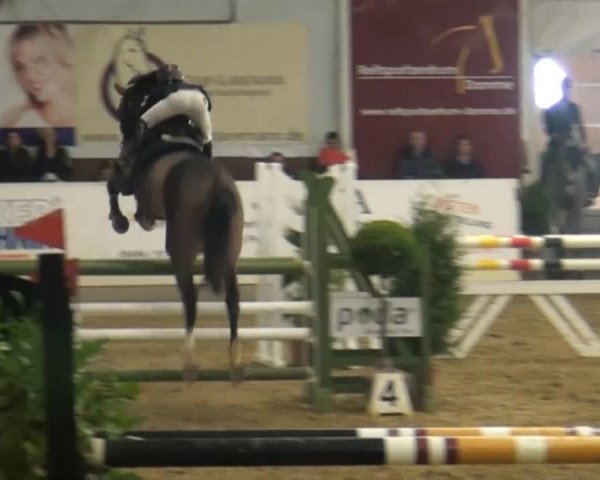 CSI* Damme 2014