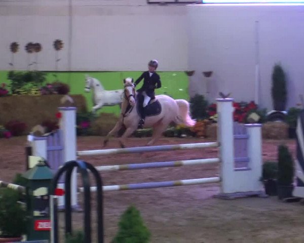 17. Legdener Pony-Meeting