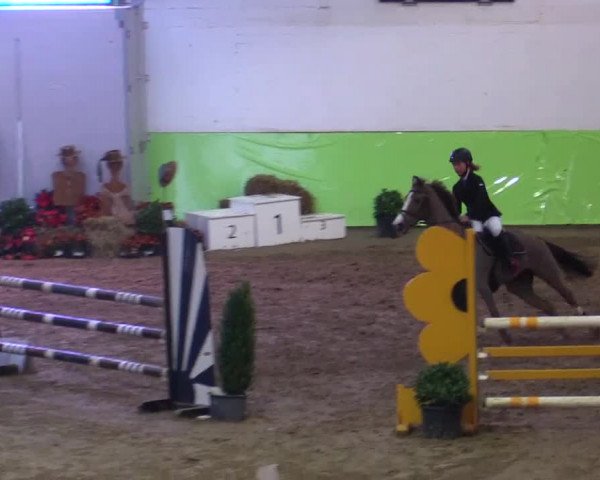17. Legdener Pony-Meeting