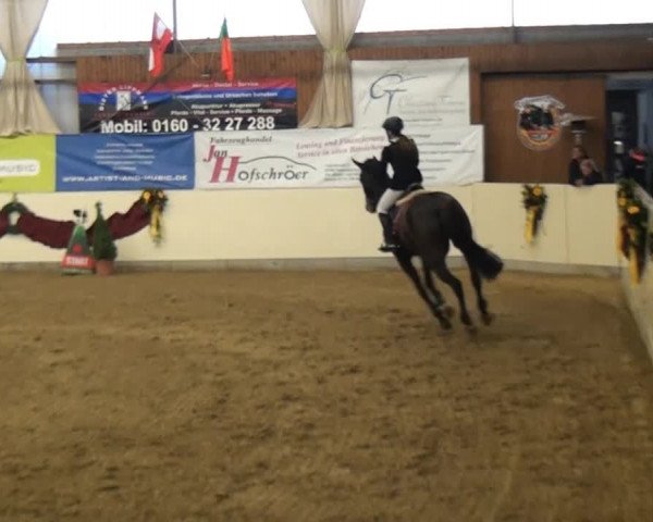 CSI* Damme 2014