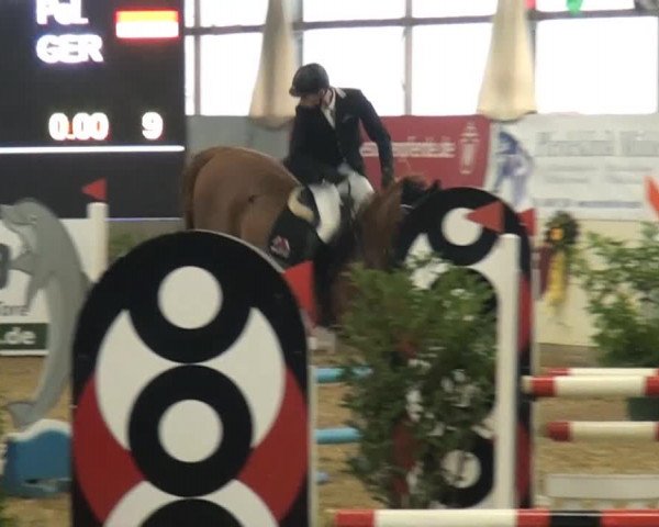 CSI* Damme 2014
