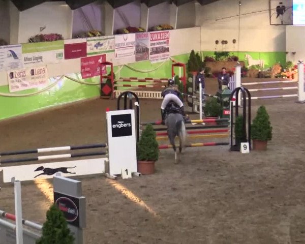 17. Legdener Pony-Meeting