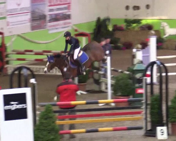17. Legdener Pony-Meeting