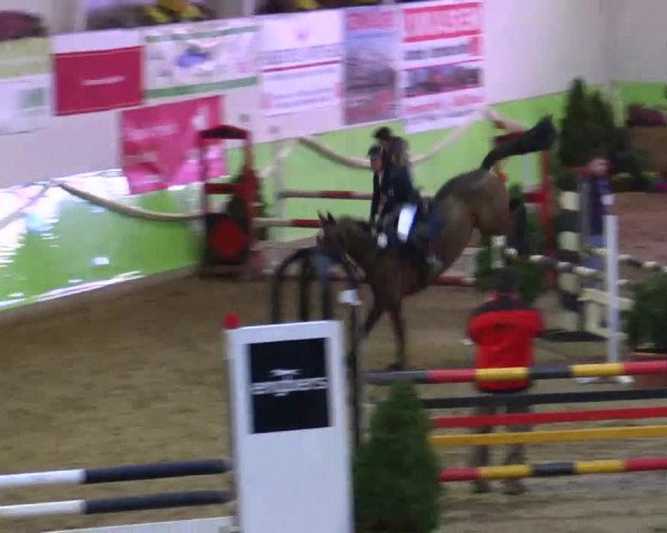 17. Legdener Pony-Meeting