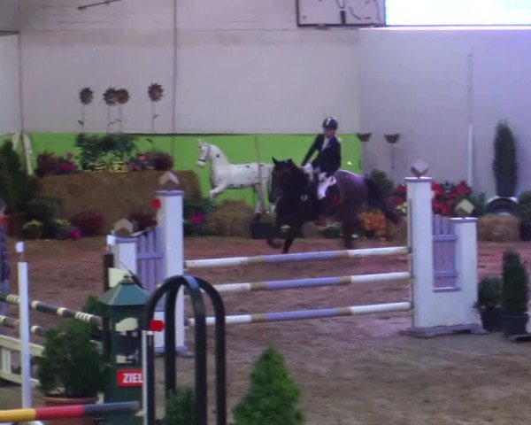 17. Legdener Pony-Meeting