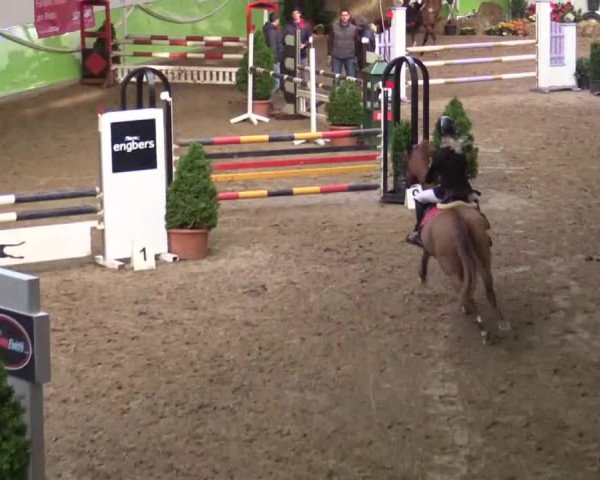 17. Legdener Pony-Meeting