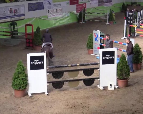 17. Legdener Pony-Meeting