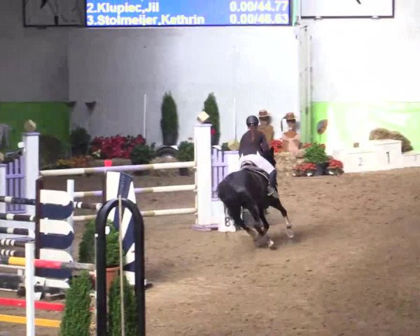17. Legdener Pony-Meeting