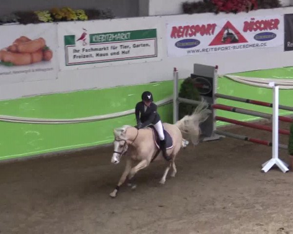 17. Legdener Pony-Meeting