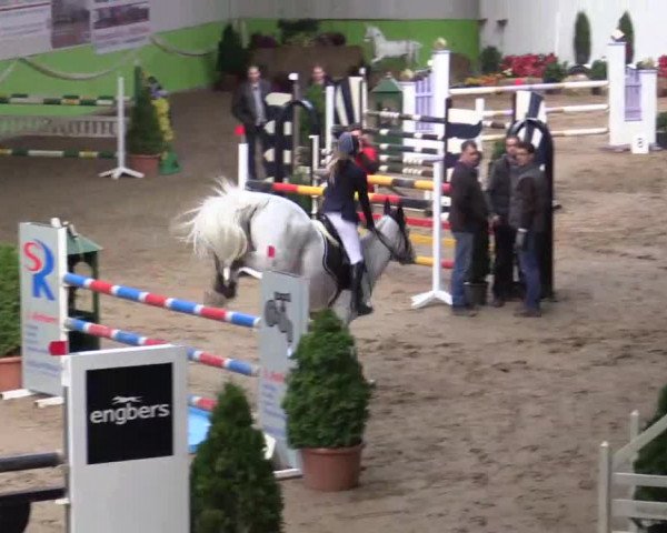 17. Legdener Pony-Meeting