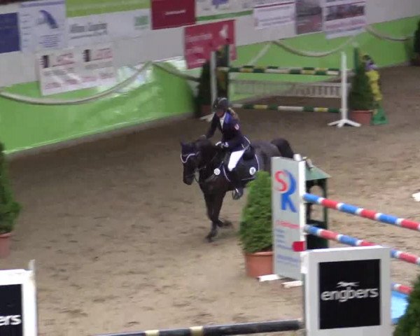 17. Legdener Pony-Meeting