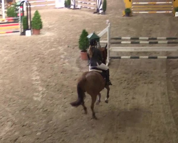 17. Legdener Pony-Meeting