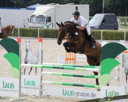 jumper Little Lady 246 (German Sport Horse, 2013, from Pikeur Lord Fauntleroy)