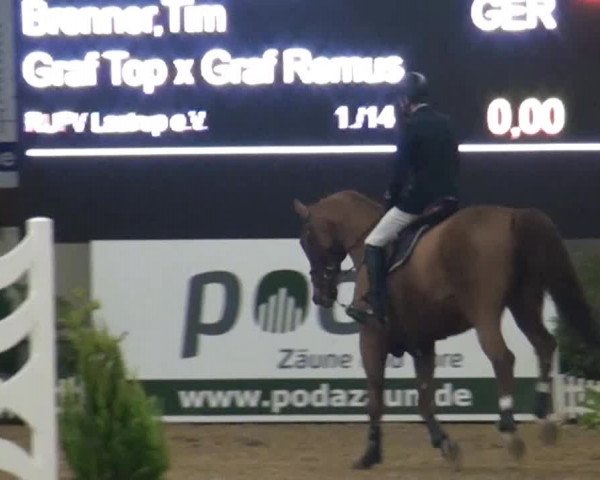 CSI* Damme 2014