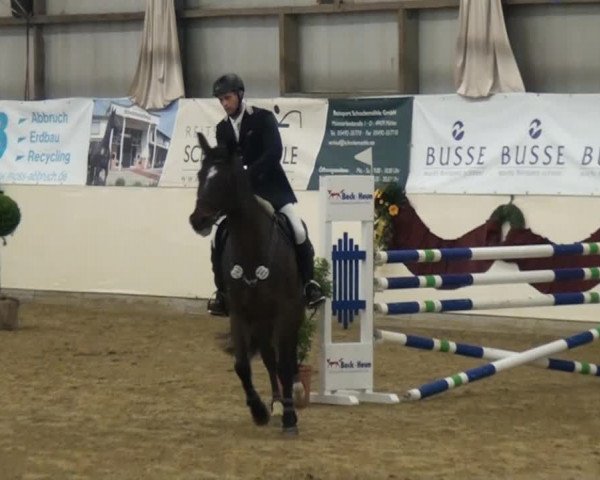 CSI* Damme 2014