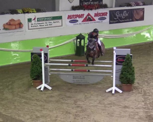 17. Legdener Pony-Meeting