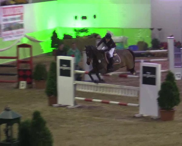 17. Legdener Pony-Meeting
