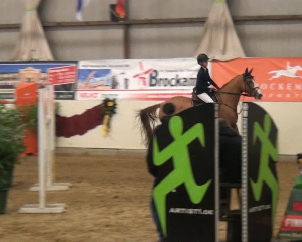 CSI* Damme 2014
