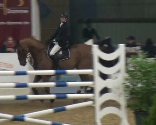 CSI* Damme 2014