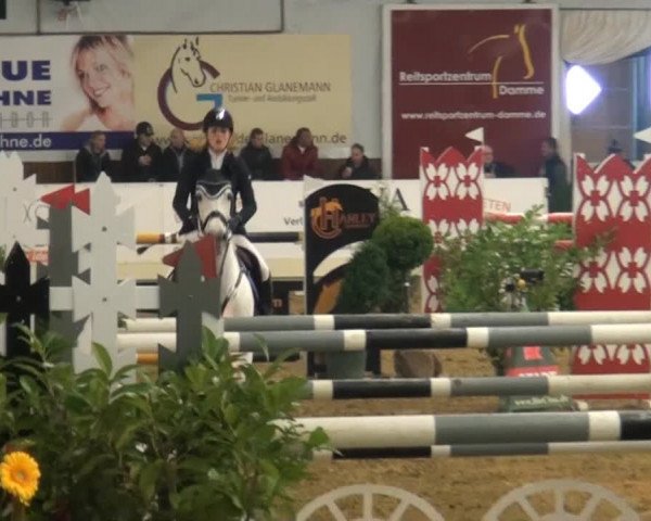 CSI* Damme 2014