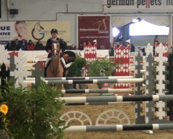 CSI* Damme 2014