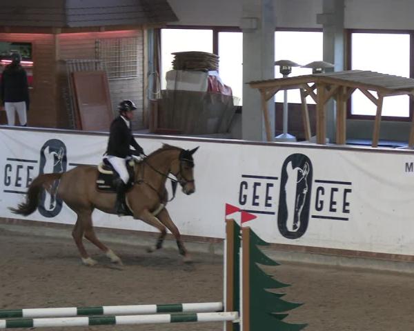 Reitturnier Prussendorf 2026