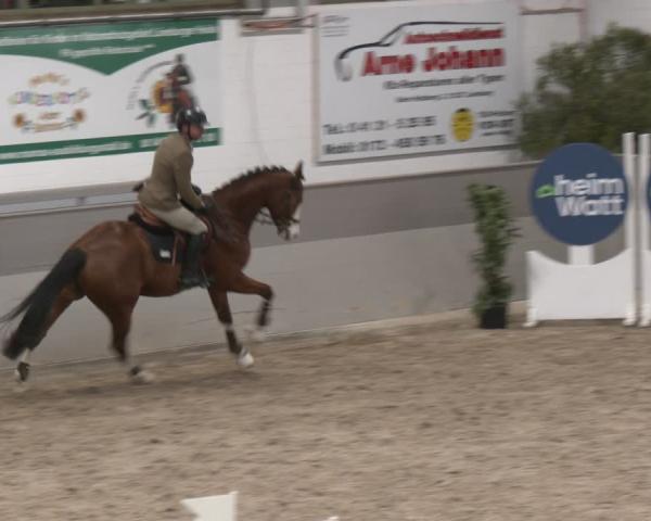 Jezdecký turnaj Luhmühlen 2026