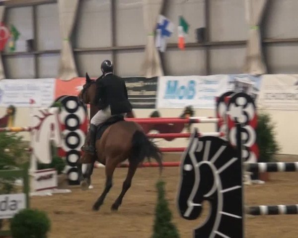 CSI* Damme 2014