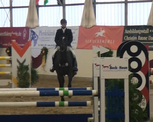 CSI* Damme 2014