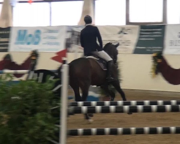 CSI* Damme 2014