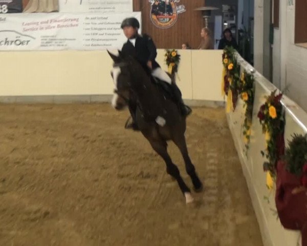CSI* Damme 2014