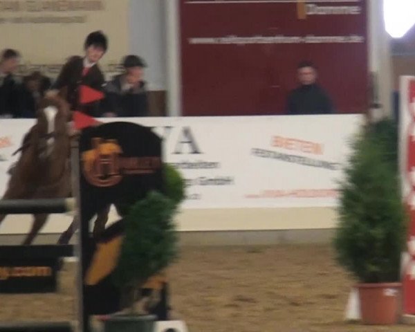 CSI* Damme 2014