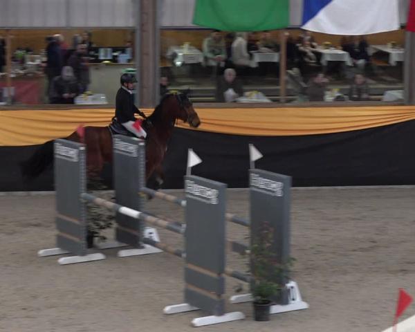 Reitturnier Erlen 2026