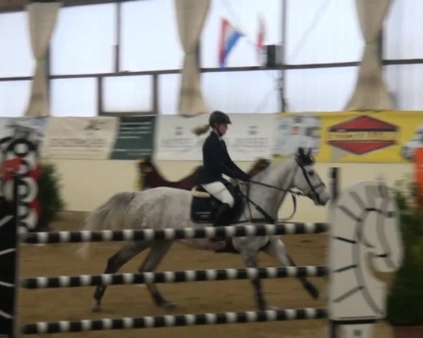 CSI* Damme 2014