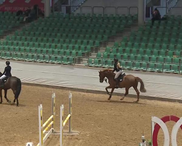 Reitturnier Kreuth/Opf. 2026