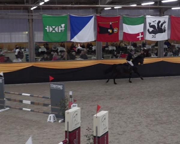 Reitturnier Erlen 2026